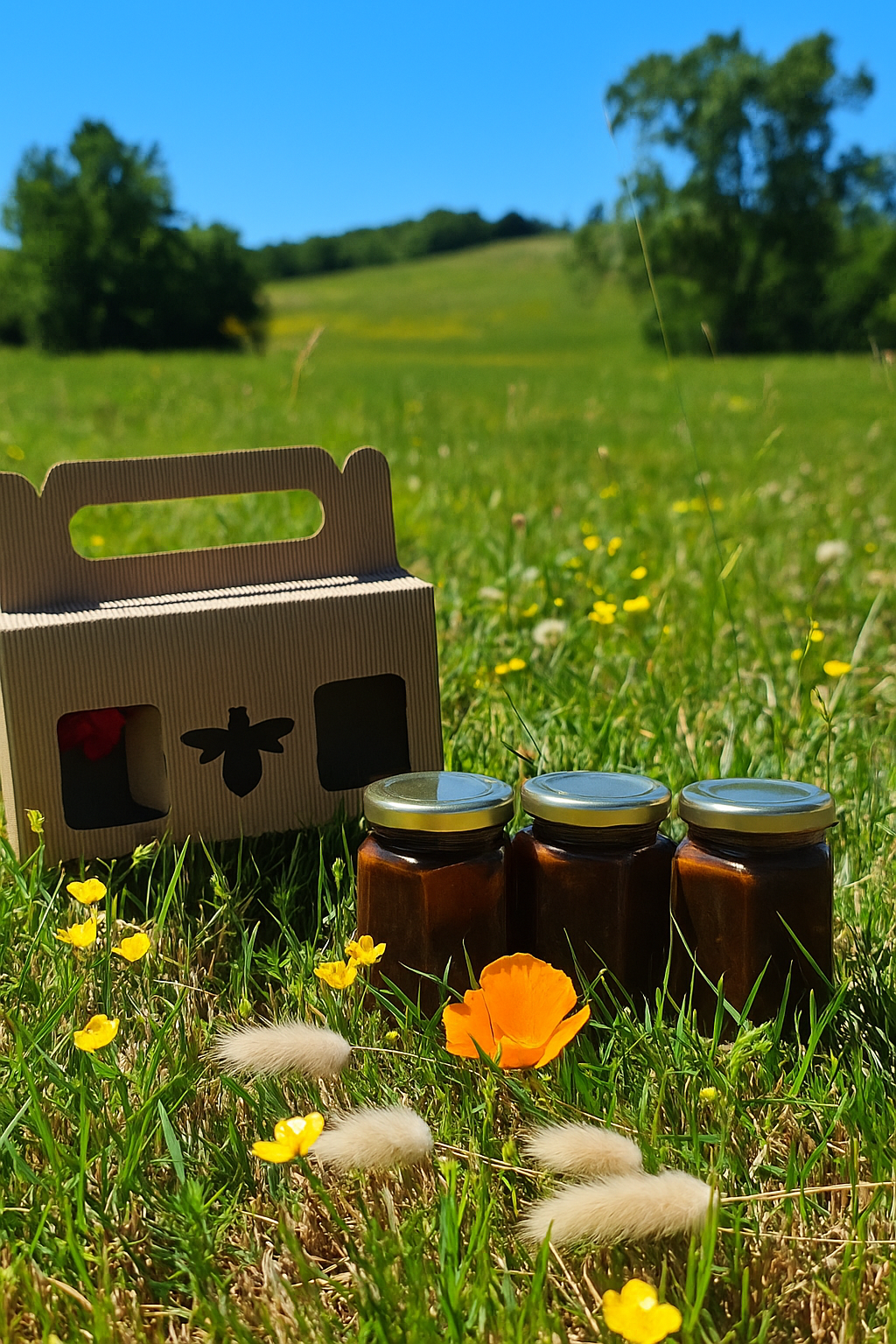 Coffret de 3 pates à tartiner autour du miel, par le Rucher d'Eden